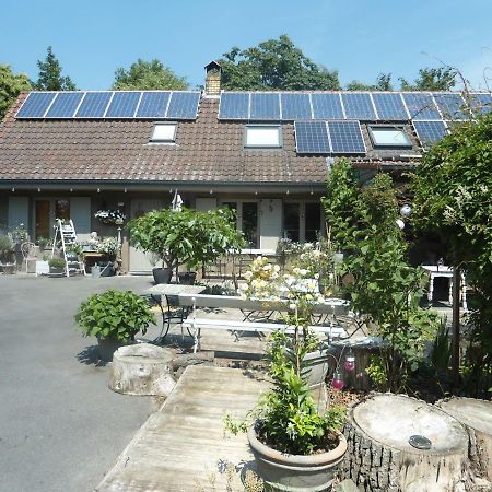 Oedelem パス パルトゥ Bed & Breakfast エクステリア 写真
